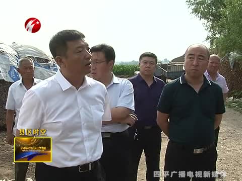 梨树县领导对榆树台镇环境保护工作开展督导检查