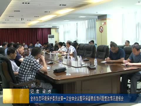 全市生态环境保护委员会第一次全体会议暨环保督察反馈问题整改情况通报会