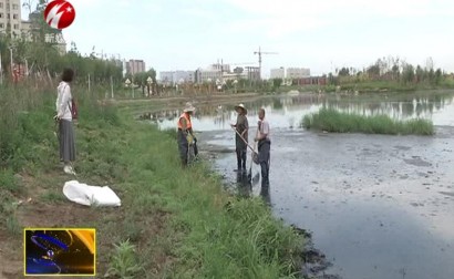 岸上风光好 湖水难为情