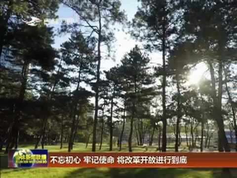 不忘初心 牢记使命 将改革开放进行到底