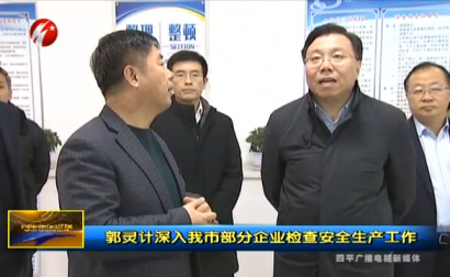 郭灵计深入我市部分企业检查安全生产工作