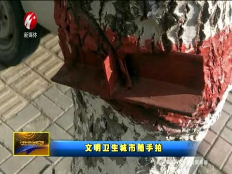 文明卫生城市随手拍0111期