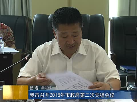 我市召开2018年市政府第二次党组会议