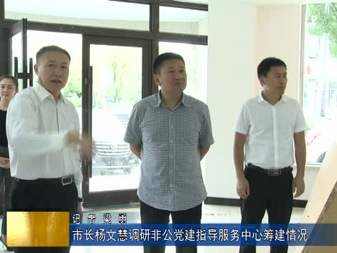 市长杨文慧调研非公党建指导服务中心筹建情况