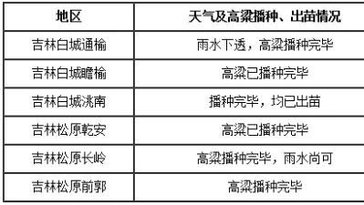 国产高粱要开涨，因为贸易战已打响！