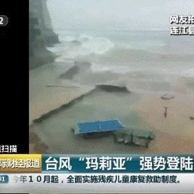 17级狂风！万树倒伏、居民玻璃被吹飞…狂风暴雨中，他们感动了一座城