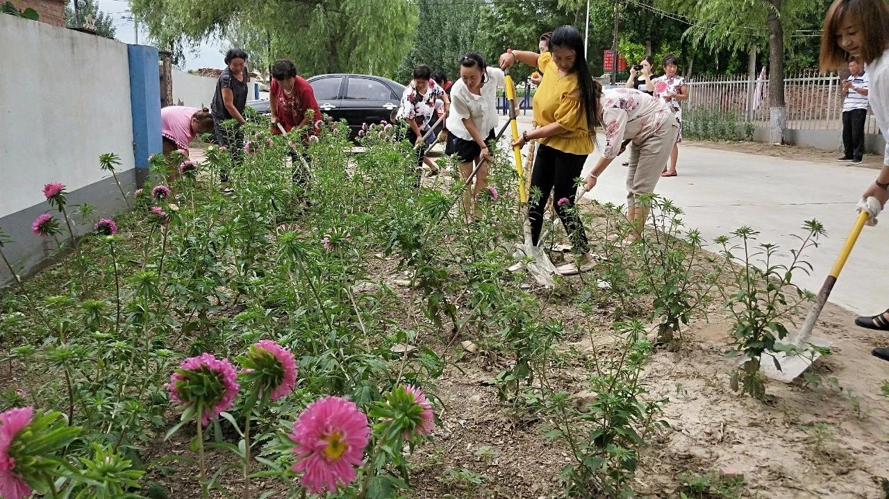 【农村人居环境整治】各乡镇掀起创建“美丽庭院、干净人家”热潮