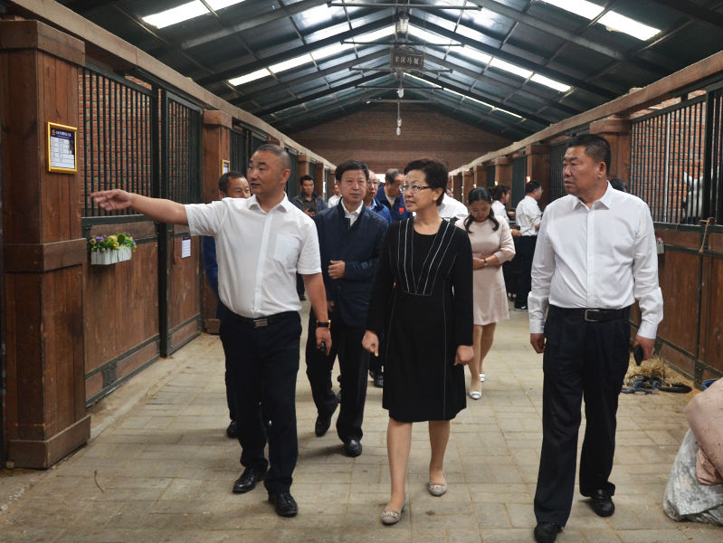 市人大常委会到农安视察旅游工作和旅游业发展情况 