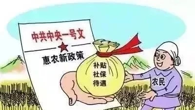 惊天巨变：农民种地，国家保收入！