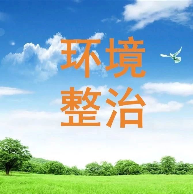 【农村人居环境整治百日会战】稻花绕田舍 村庄入画廊