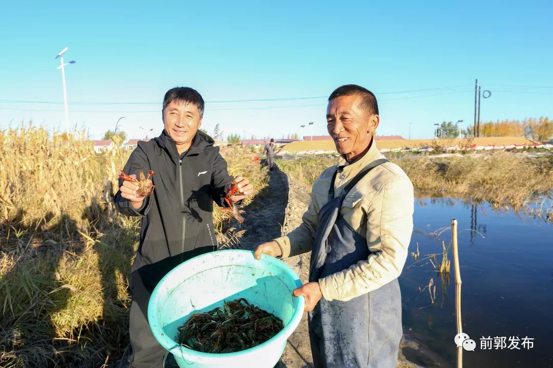 东北首例 小龙虾东北寒地试养在前郭取得成功