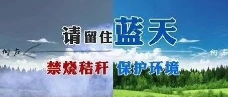 查干花种畜场多措并举切实做好 秋季秸秆禁烧工作