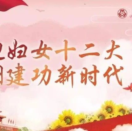 【喜迎妇女十二大 最美巾帼典型】最美三姐系列