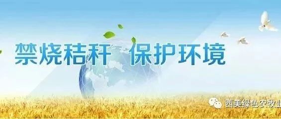 快板书：禁烧秸杆公益宣传