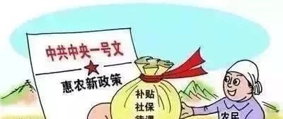 2019年开始，农村户口的农民，可以领到这四种补贴！