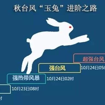 层层揭秘2018年风王——台风“玉兔”