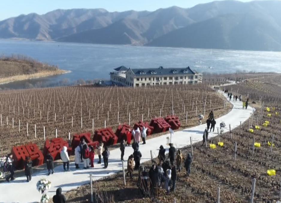 2018集安·鸭绿江河谷冰葡萄酒节开幕