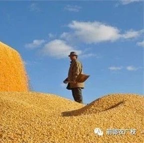 别争着卖粮！厂家正在“试探性”降价